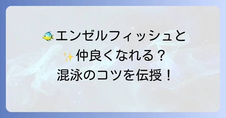 混泳の相性と注意点