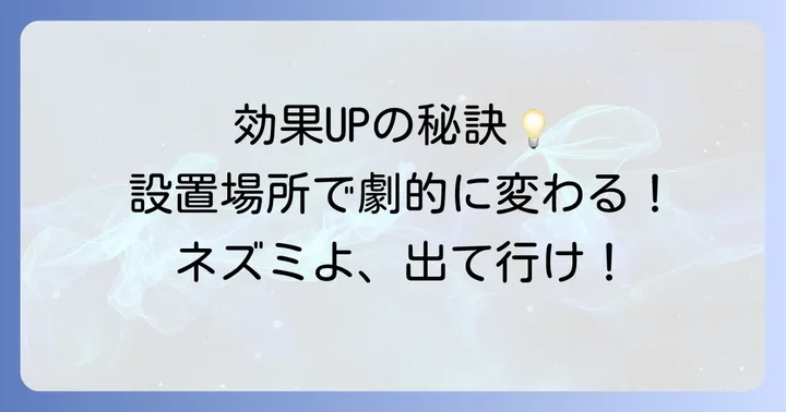超音波ネズミ駆除器の効果を最大限に引き出す設置のコツ