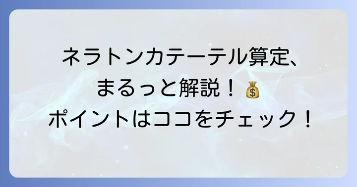 診療報酬におけるネラトンカテーテル算定の全体像
