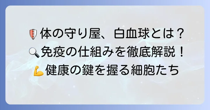 白血球の役割と健康における重要性
