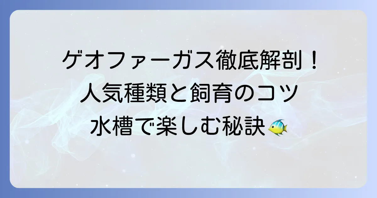 ゲオファーガスの種類を徹底解説！人気の品種から飼育のコツまで