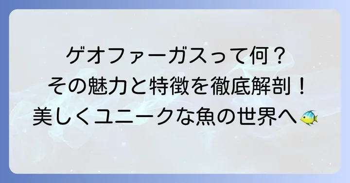 ゲオファーガスとは？その魅力と特徴