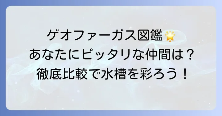 人気のゲオファーガス種類を徹底紹介