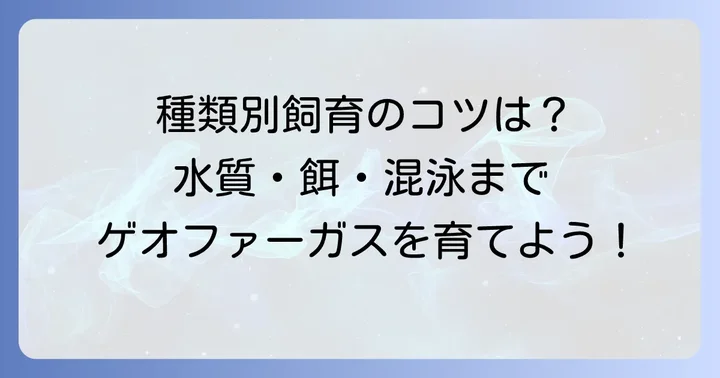 ゲオファーガス種類ごとの飼育のポイント