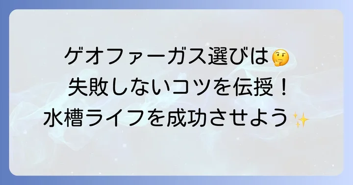 ゲオファーガスを選ぶ際のコツ