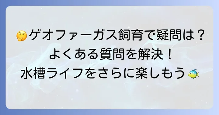 よくある質問