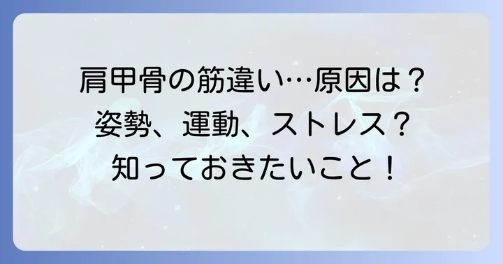 肩甲骨の筋違いが起こる主な原因