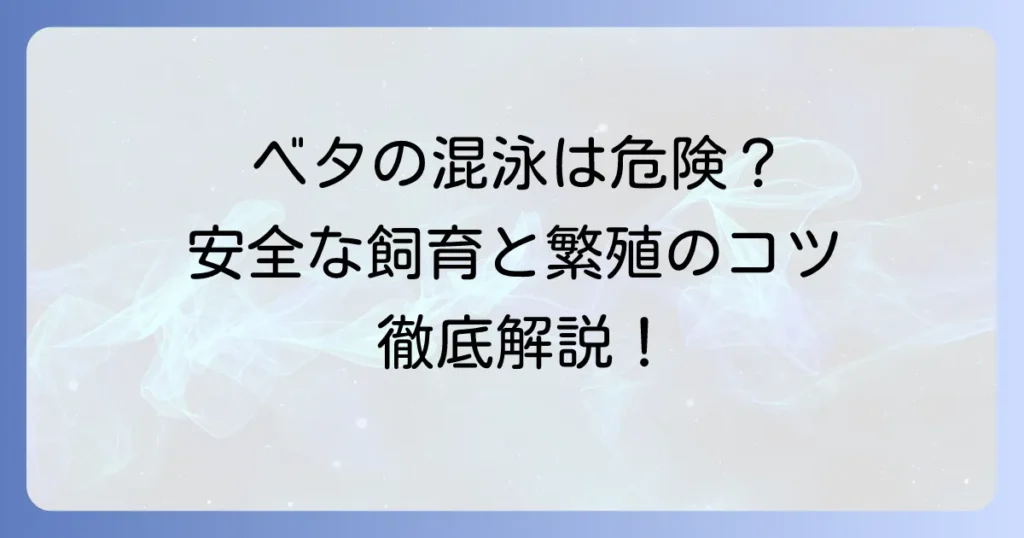 ベタのオスとメスの混泳は危険？安全に飼育するための条件と繁殖のコツを徹底解説