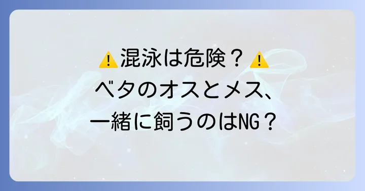 ベタのオスメス混泳は基本的に避けるべき理由