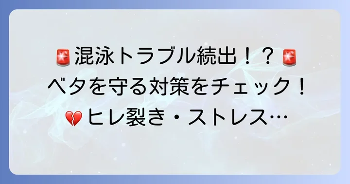 ベタのオスメス混泳で起こりやすいトラブルと対策
