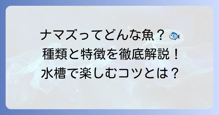熱帯魚ナマズの主要なグループと特徴