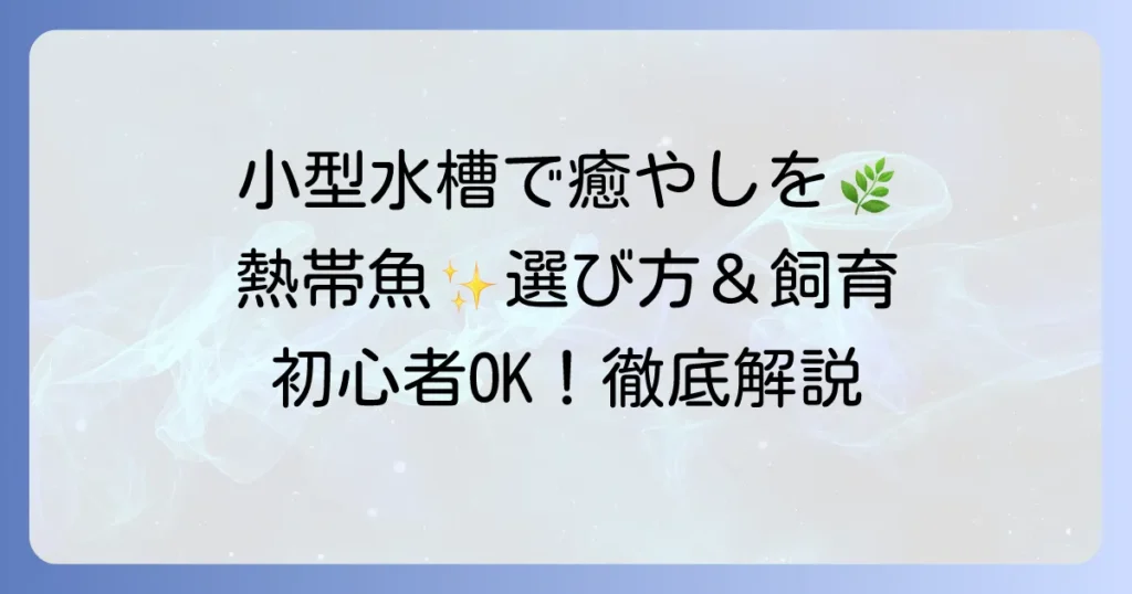 小型水槽で楽しむかっこいい熱帯魚の選び方と飼育方法を徹底解説
