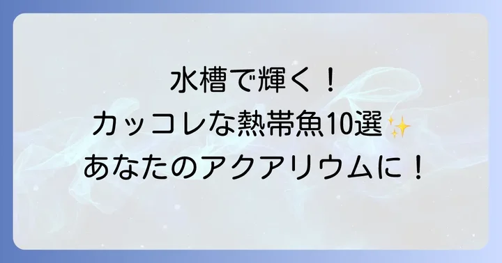 かっこいい小型熱帯魚おすすめ10選
