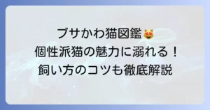ブサイク猫の種類を徹底解説！その個性的な魅力と飼い方のコツ