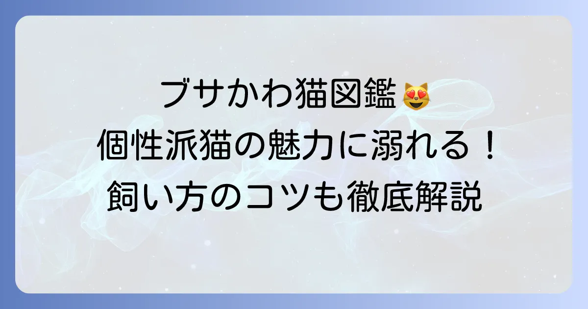 ブサイク猫の種類を徹底解説！その個性的な魅力と飼い方のコツ