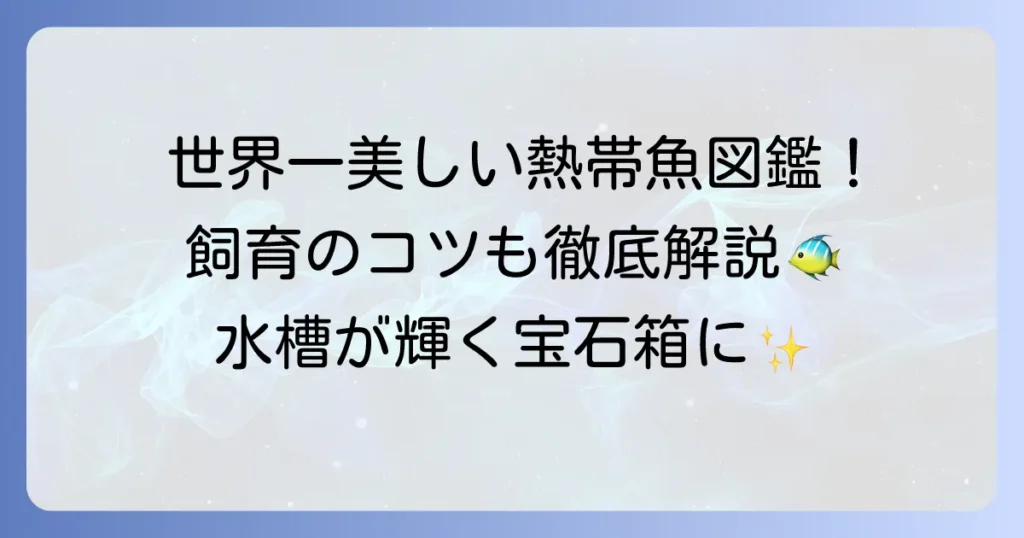 世界一綺麗と称される熱帯魚の種類と飼育のコツを徹底解説！