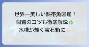 世界一綺麗と称される熱帯魚の種類と飼育のコツを徹底解説！