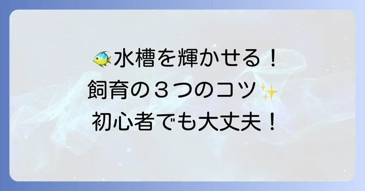 美しい熱帯魚を飼育するための基本的なコツ