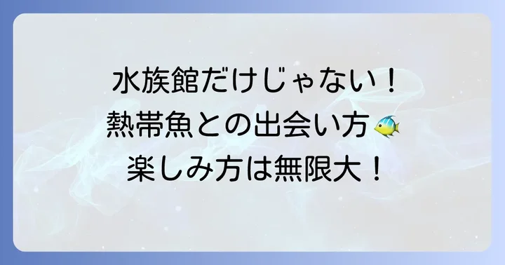 美しい熱帯魚に出会える場所と楽しみ方