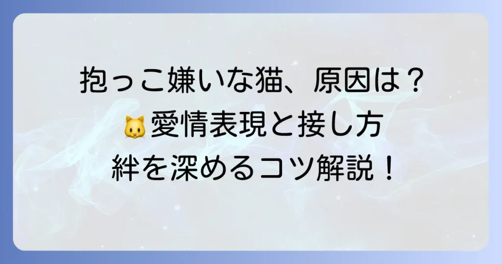 抱っこが嫌いな猫の種類と理由｜愛猫との絆を深める接し方とコツ