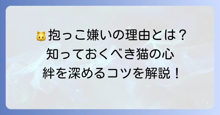 抱っこが嫌いな猫に共通する特徴と理由