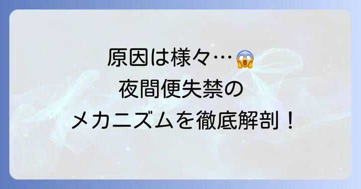 大人が寝てる間にうんちを漏らす主な原因