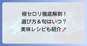 根セロリの旬はいつ？選び方から下処理、美味しい食べ方まで徹底解説