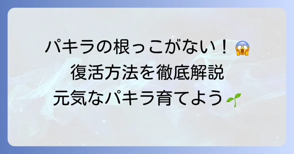 パキラに根っこがない！その原因と復活させるための対処法を徹底解説