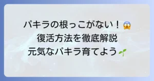 パキラに根っこがない！その原因と復活させるための対処法を徹底解説