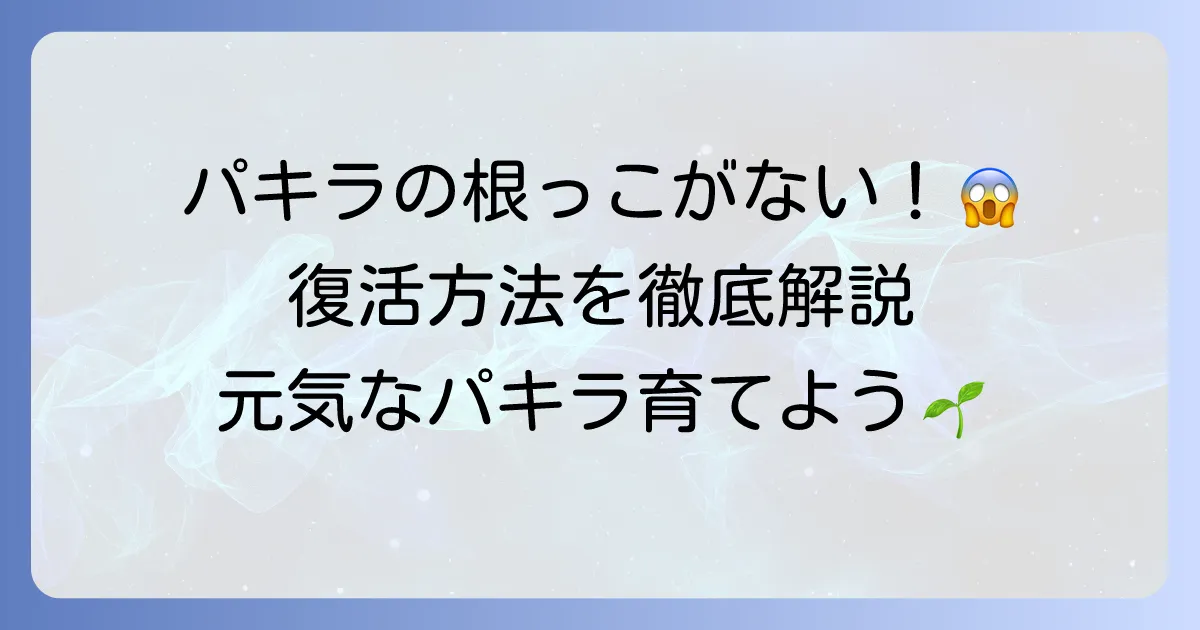 パキラに根っこがない！その原因と復活させるための対処法を徹底解説