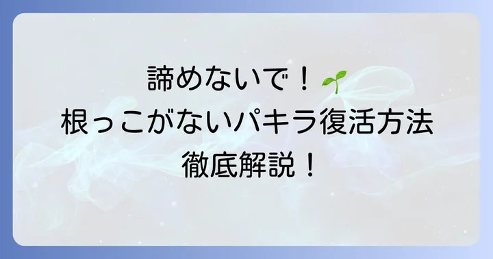 根っこがないパキラを復活させるための具体的な対処法