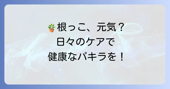 パキラの根っこを健康に保つための日頃の管理