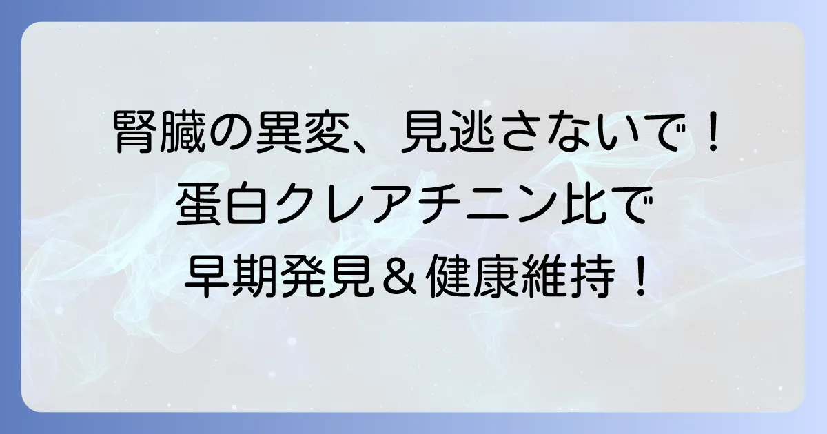 蛋白クレアチニン比の基準値でわかること｜腎臓病の早期発見と健康維持を徹底解説