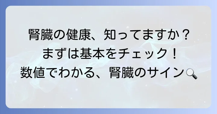 蛋白クレアチニン比とは？腎臓の健康状態を知る重要な指標