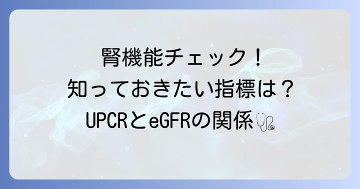 蛋白クレアチニン比と合わせて知りたい腎機能の他の指標