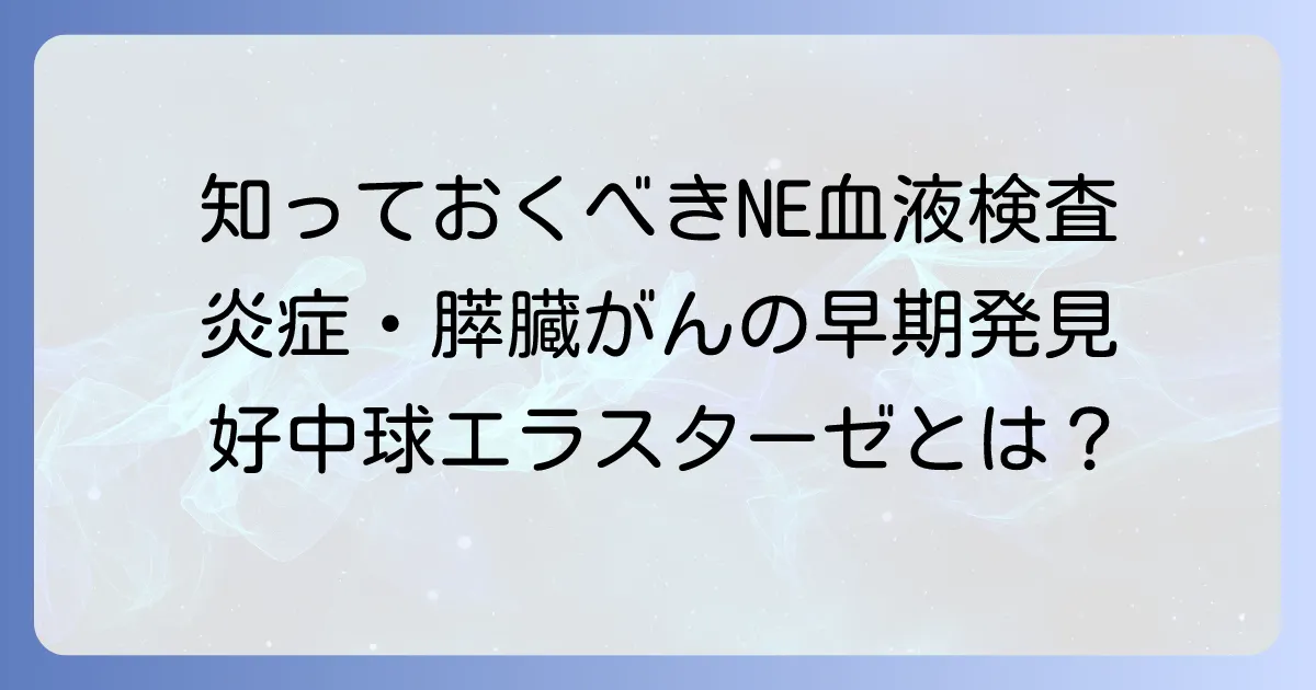 ne血液検査とは？好中球エラスターゼとエラスターゼ1の違いやわかる病気を徹底解説