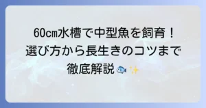 60cm水槽での中型魚飼育の全て！選び方から長生きさせるコツまで徹底解説