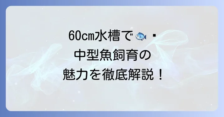 60cm水槽で中型魚を飼育する魅力と基本