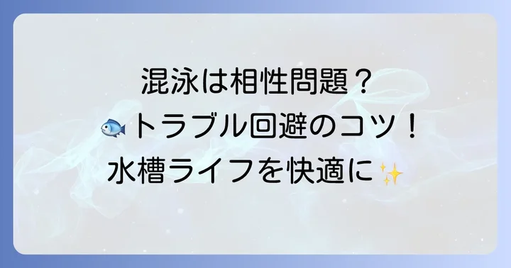 中型魚の混泳と飼育数！トラブルを避けるコツ