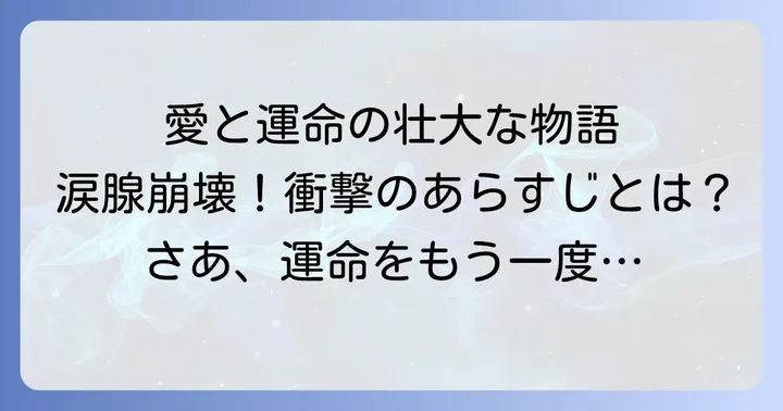 『旦那様、もう一度結婚してください』とは？作品概要とあらすじ