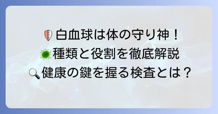 白血球の種類とそれぞれの重要な役割