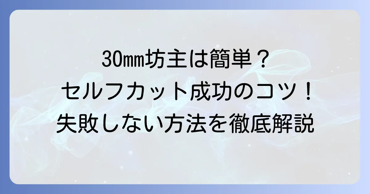 バリカン30mm坊主をセルフカットで成功させる方法と失敗しないコツ