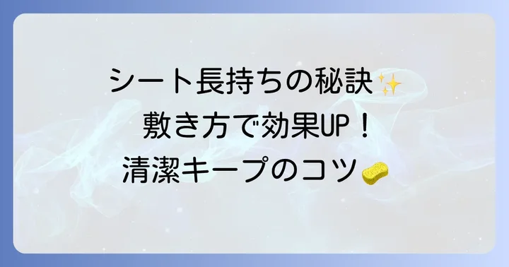 下駄箱シートの効果的な敷き方と長持ちさせるコツ