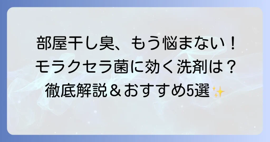 モラクセラ菌に効くおすすめ洗剤で部屋干し臭を徹底解決！