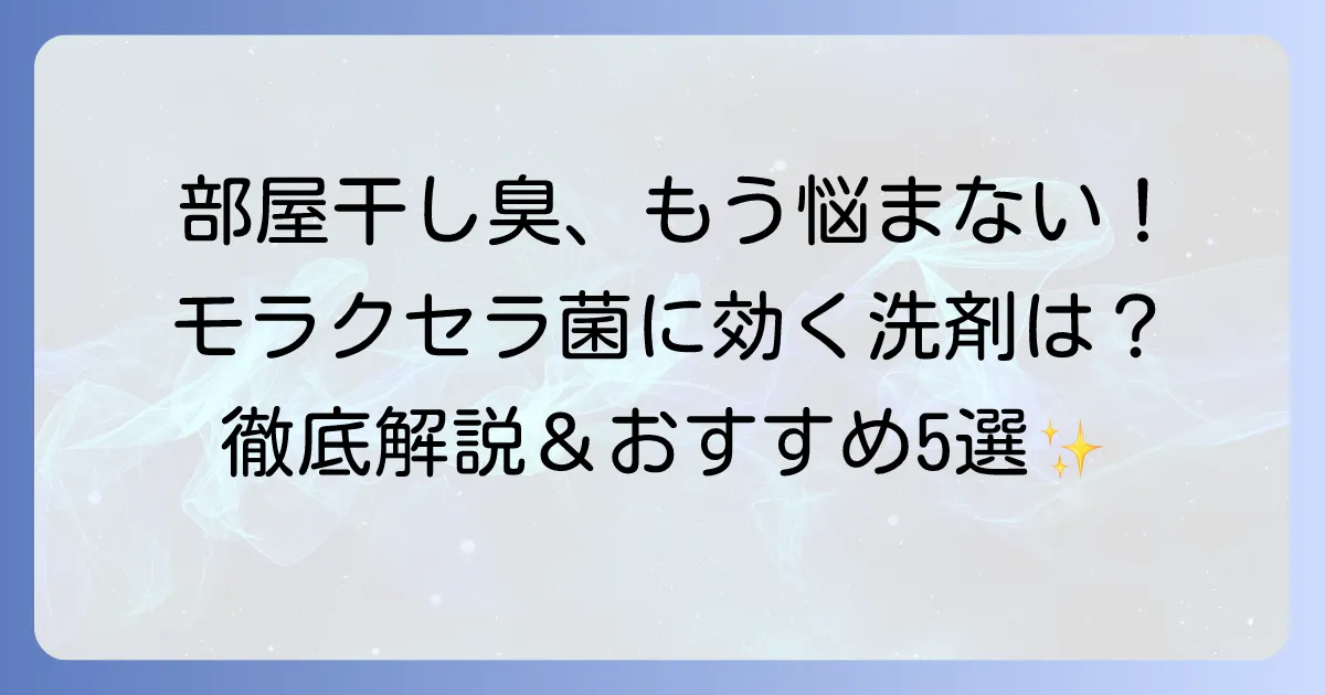 モラクセラ菌に効くおすすめ洗剤で部屋干し臭を徹底解決！