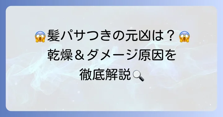 なぜ髪はパサつくの？乾燥やダメージの原因を徹底解説