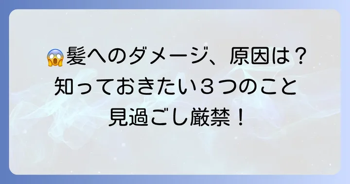 くるくるドライヤーで髪が痛む原因とは？