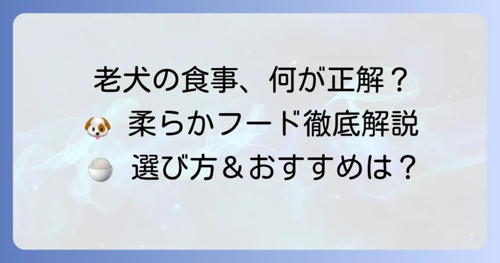 老犬用ドッグフード：柔らかい市販品の選び方とおすすめを徹底解説