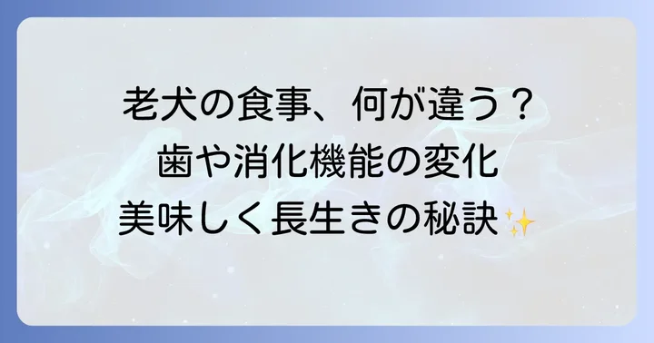 なぜ老犬には柔らかいドッグフードが必要なのか