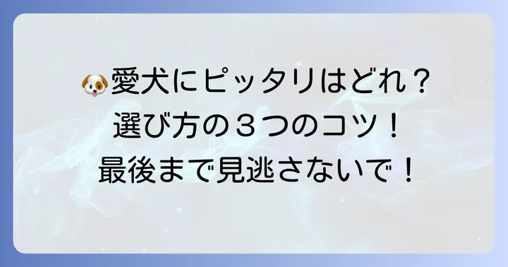 市販で買える柔らかい老犬用ドッグフードの選び方